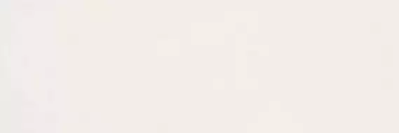 CSASPRWT00 Spring White 25x75