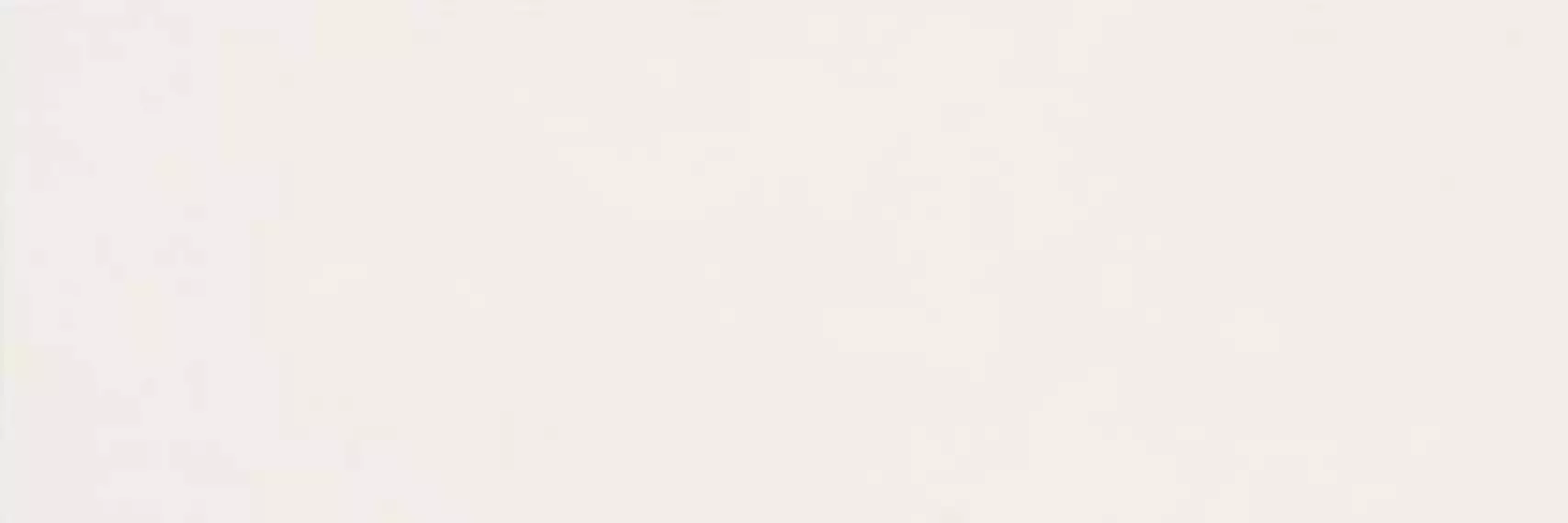 CSASPRWT00 Spring White 25x75