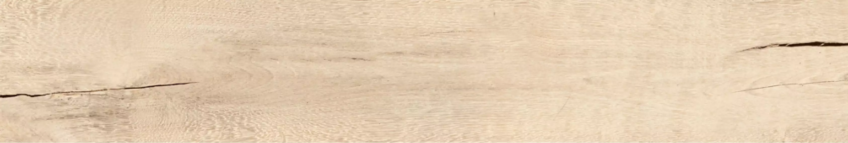 CSATWHOY20 Timewood Honey 20x120