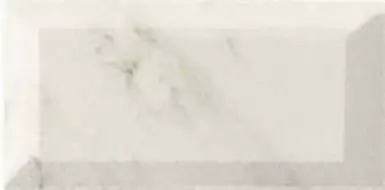 Calacata Beige 10x20