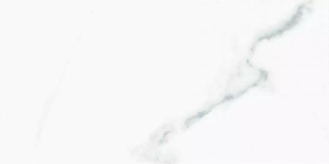 Calacatta Blanco Matt 60x120