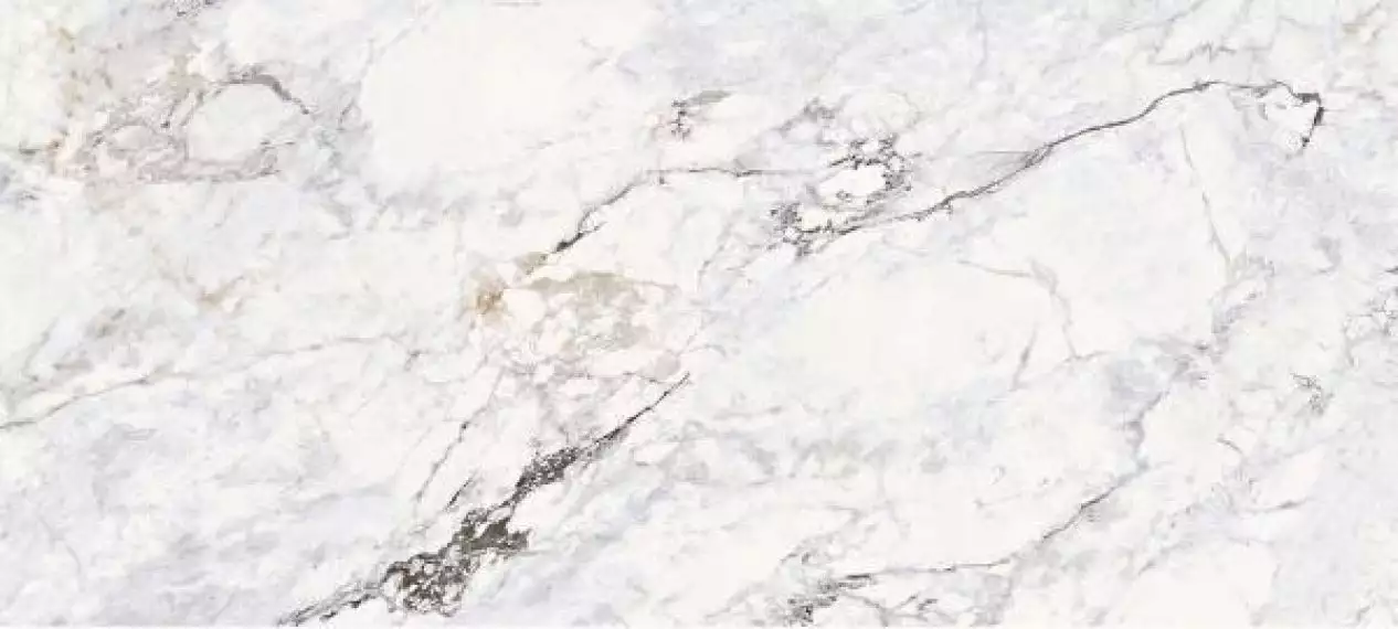 Calacatta Glosst 120x270