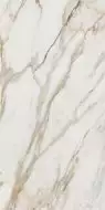 Calacatta Gold 80x160