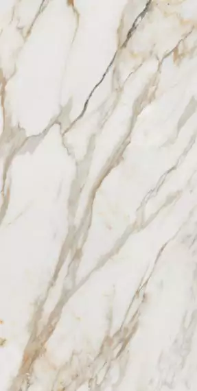 Calacatta Gold 80x160