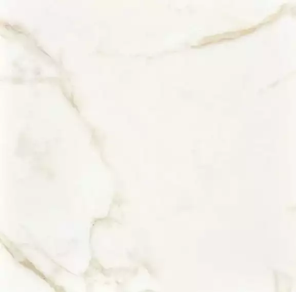 Calacatta Gold Matt Rett 80x80