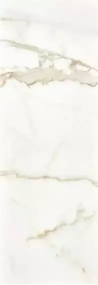 Calacatta Gold Pol Rett 35х100
