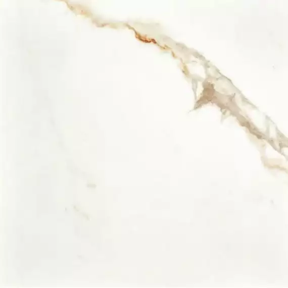 Calacatta Gold Pol Rett 80x80