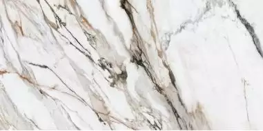 Calacatta Paonazzo Polished Rect 60x120