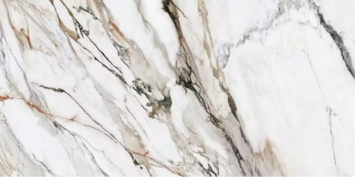 Calacatta Paonazzo Polished Rect 60x120