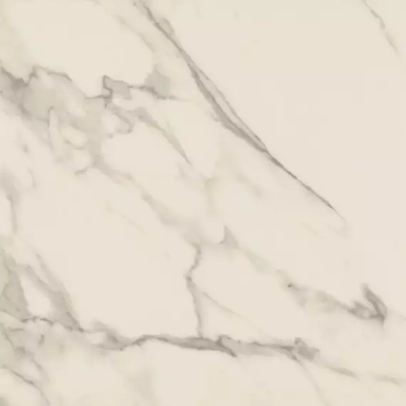 Calacatta Rectified Matt 80x80