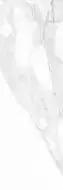 Calacatta White Rett 25x75
