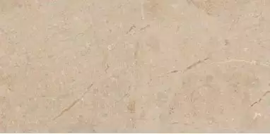 Camel Rustic Carving 60x120