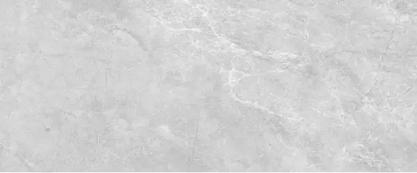 Cameo grey серый 01 25х60