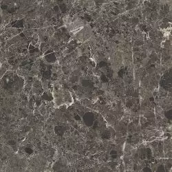 Caprice Black 60x60