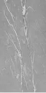 Cardoso Gray Matt Mix 160x320
