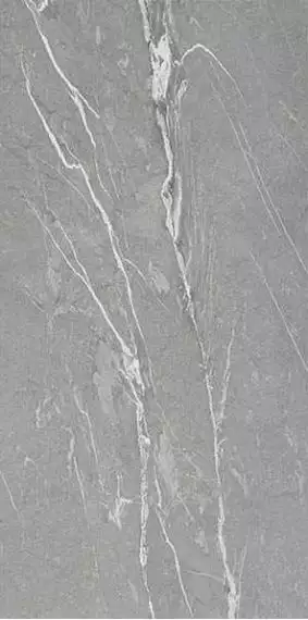 Cardoso Gray Matt Mix 160x320