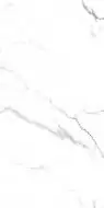 Caribbean White Glossy 60x120