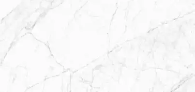 Carrara Fogg Polish 59,8х119,8