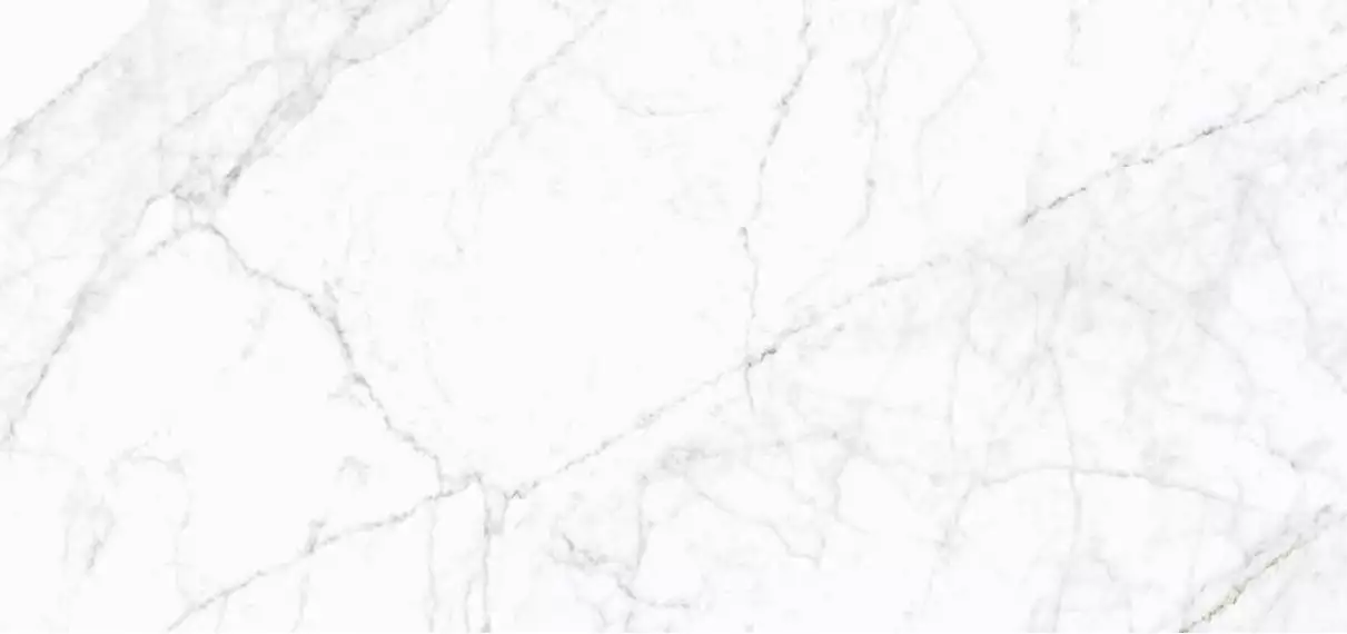Carrara Fogg Polish 59,8х119,8