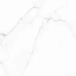 Carrara GFU04CRR00R 60х60