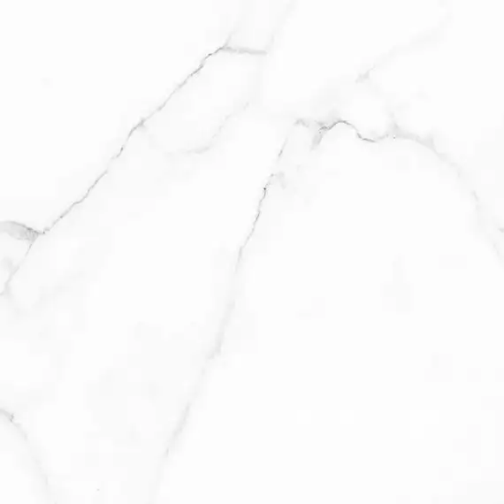 Carrara GFU04CRR00R 60х60