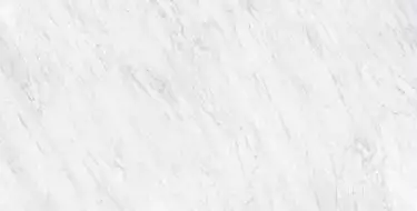 Carrara Honed 60x120