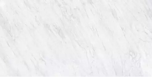 Carrara Honed 60x120