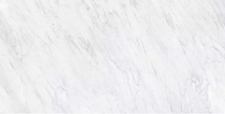 Carrara Honed 60x120