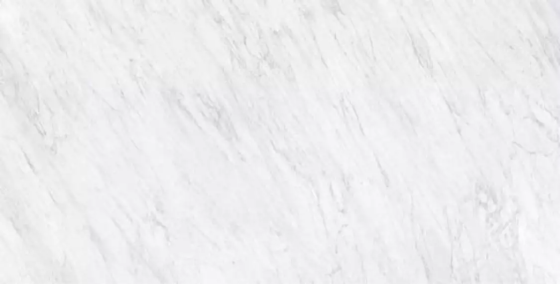 Carrara Honed 60x120