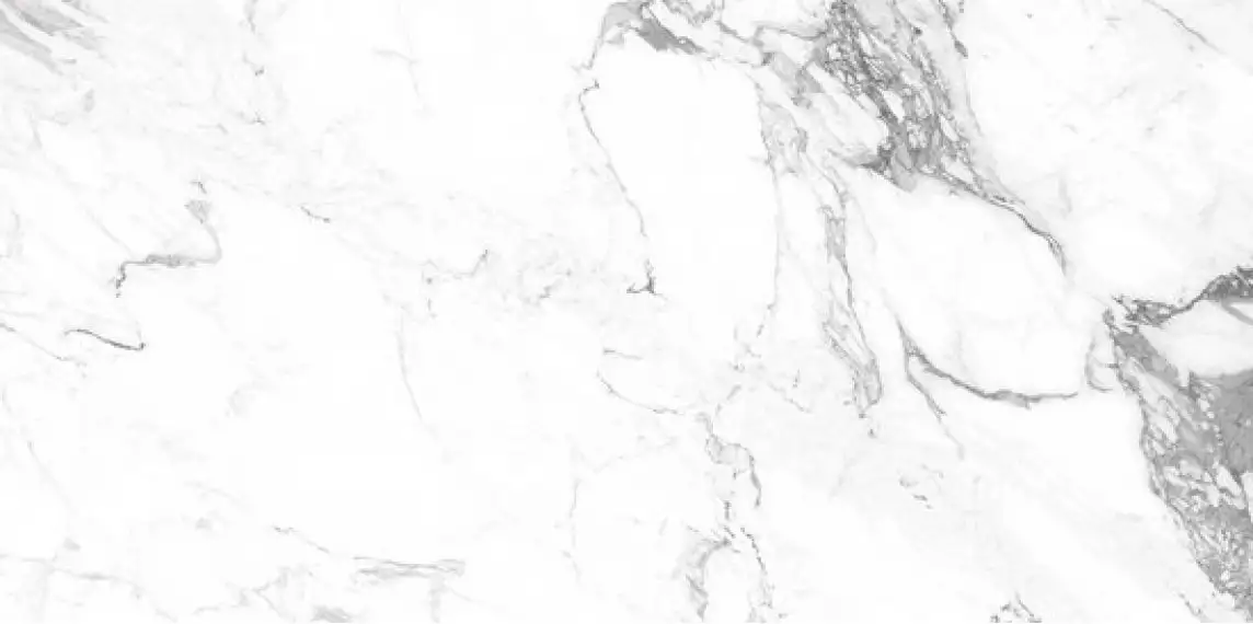Carrara Smoke PGVT 60x120