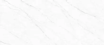 Carrara Twig White 120х278х6