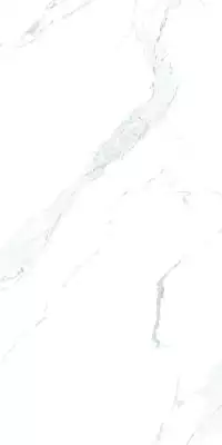 Carrara White Rustic Punch 60х120