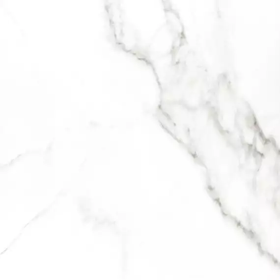 Carrara premium white PG 01 60х60