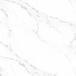 Carrara white 60x60