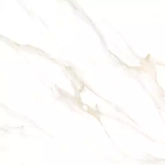 Cassini carrara PGVT 60x60