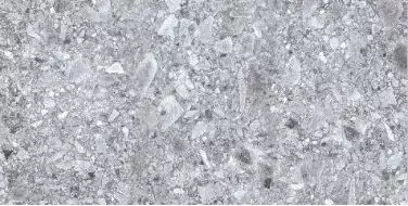 Celtic Gray Rectified 59.7x119.8