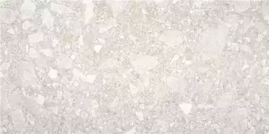 Ceppo Di Gre Light Grey 60*120