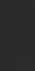 Charcoal Black Stone 60x120