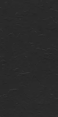Charcoal Black Stone 60x120