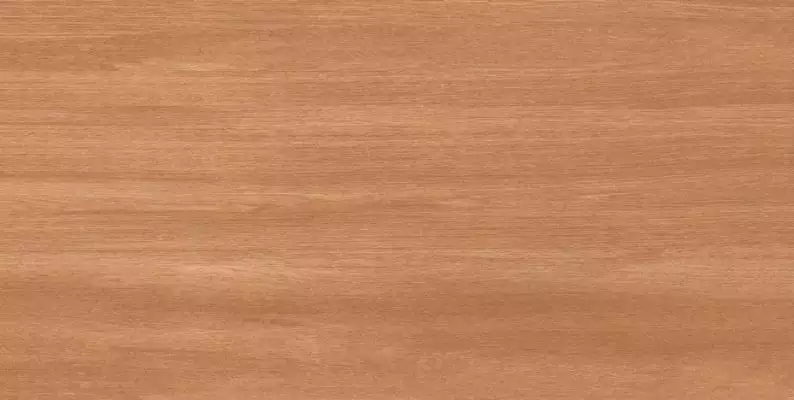 Cinar Brown Matt 60x120
