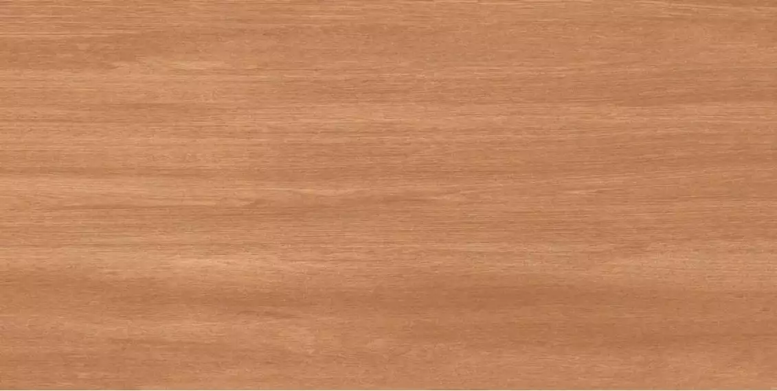 Cinar Brown Matt 60x120