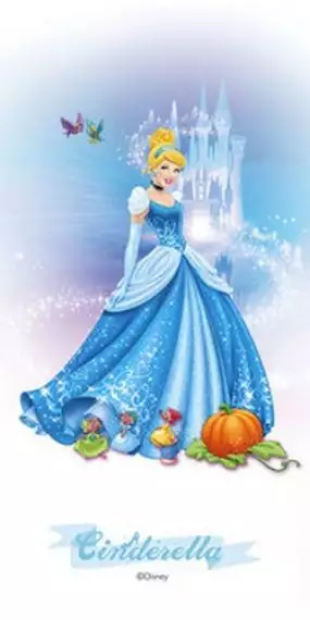 Cinderella 30*60