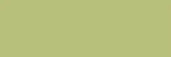Citta Pistacchio MJ09 10*30