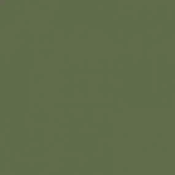 City Style зеленый G-116/MR 60x60 матовый