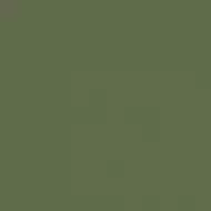 City Style зеленый G-116/P 60x60 полированный