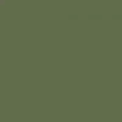 City Style зеленый G-116/P 60x60 полированный