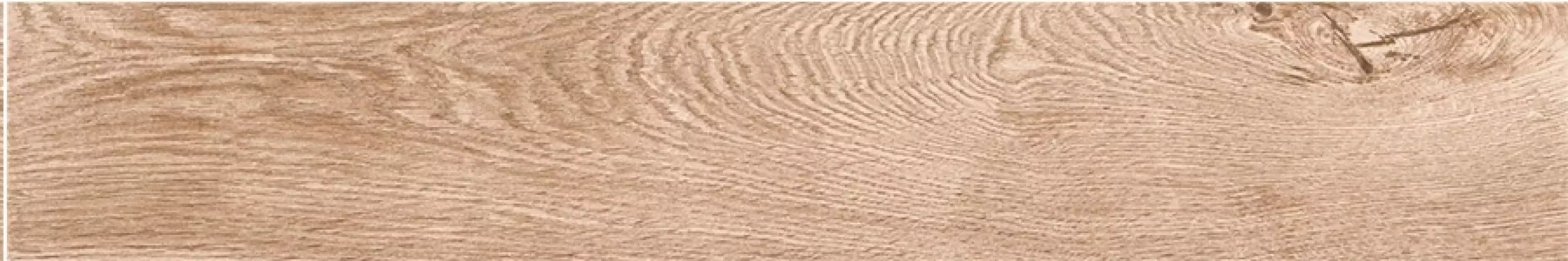 Coastline Bronzo 15x90