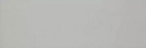 Colourline Grey MLDZ 22*66.2