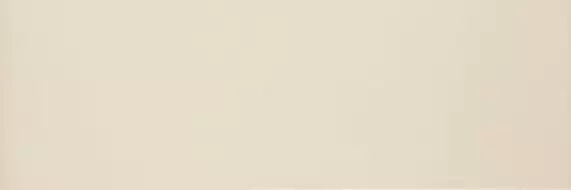 Colourline Ivory MLE1 22*66.2