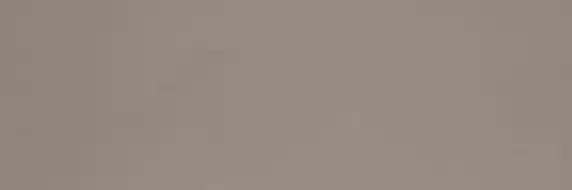 Colourline Taupe MLE2 22*66.2